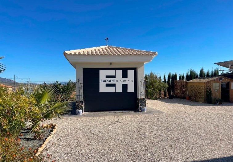 Obra Nueva - villa - Pinoso - Camino Del Prado