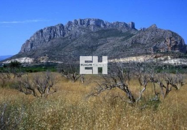 Neubau - Wohnung - El Verger