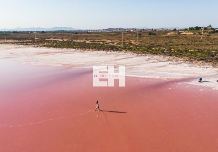 Obra Nueva - Atico - Torrevieja - Habaneras