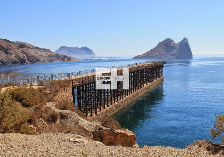 Construction Neuve - Penthouse - Aguilas - Isla Del Fraile