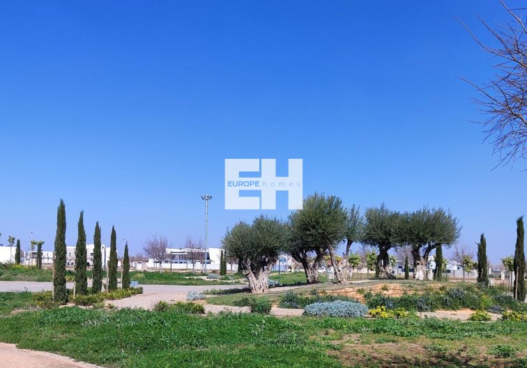 Obra Nueva - Apartamento  - Torre Pacheco - Centro