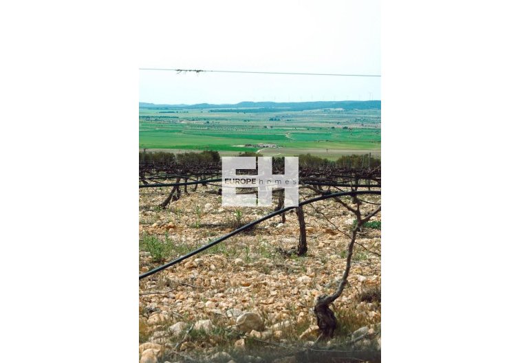 Neubau - villa - Yecla