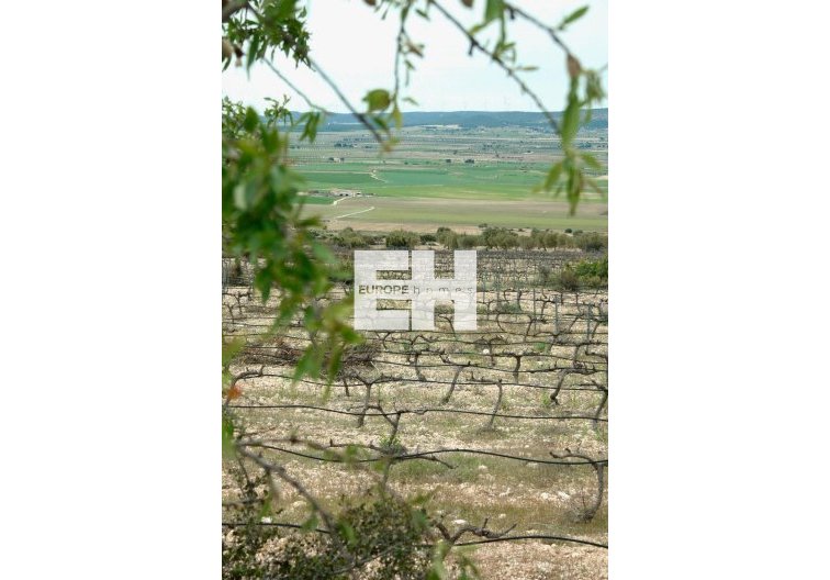 Neubau - villa - Yecla