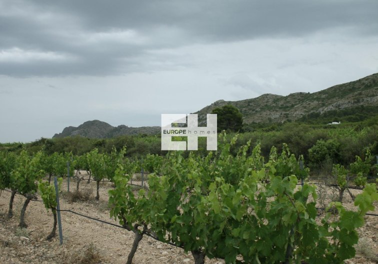 Construction Neuve - villa - Yecla