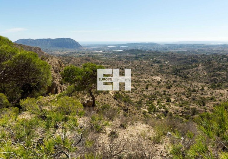 Obra Nueva - villa - Aspe - Centro