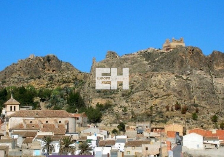 Obra Nueva - villa - Calasparra - Coto Riñales