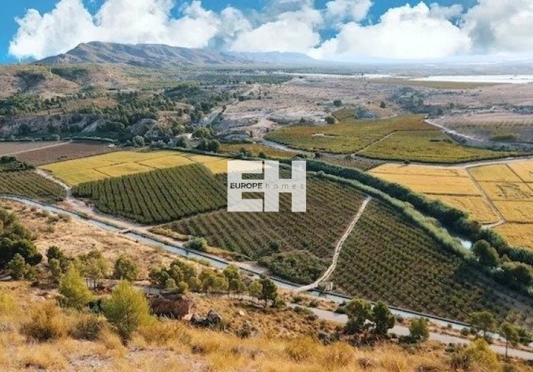 Obra Nueva - villa - Calasparra - Coto Riñales