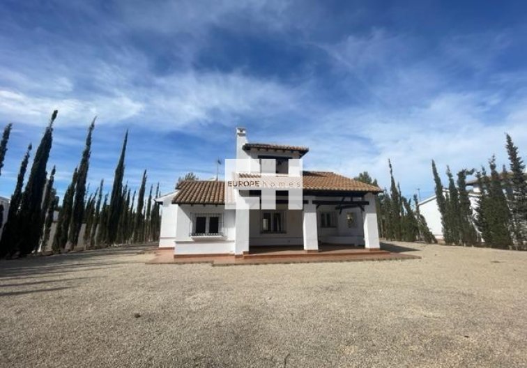 Construction Neuve - villa - Fuente Álamo - Las Palas