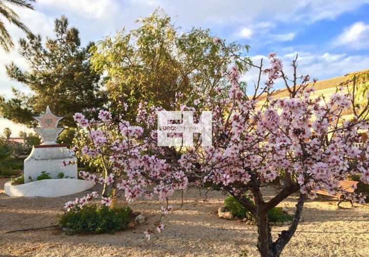 Obra Nueva - villa - Los Urrutias - Estrella De Mar