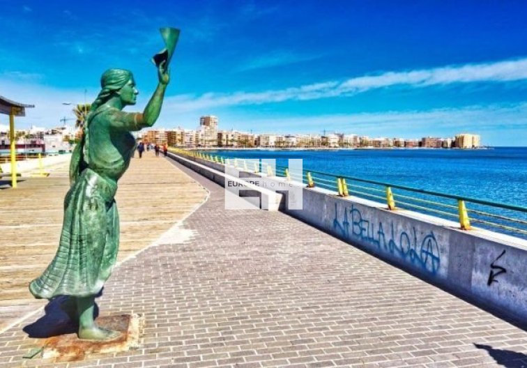 Obra Nueva - villa - Torrevieja - Aguas Nuevas