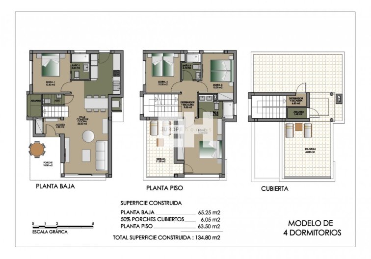 Obra Nueva - villa - San Miguel de Salinas - Cerro Del Sol