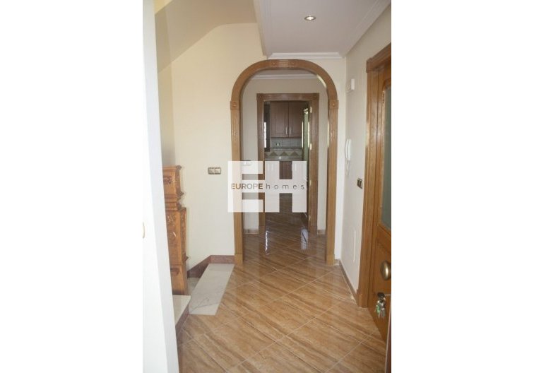 Obra Nueva - villa - Torrevieja - Los Altos