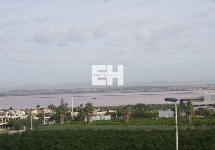 Obra Nueva - town house - Torrevieja - Los Altos