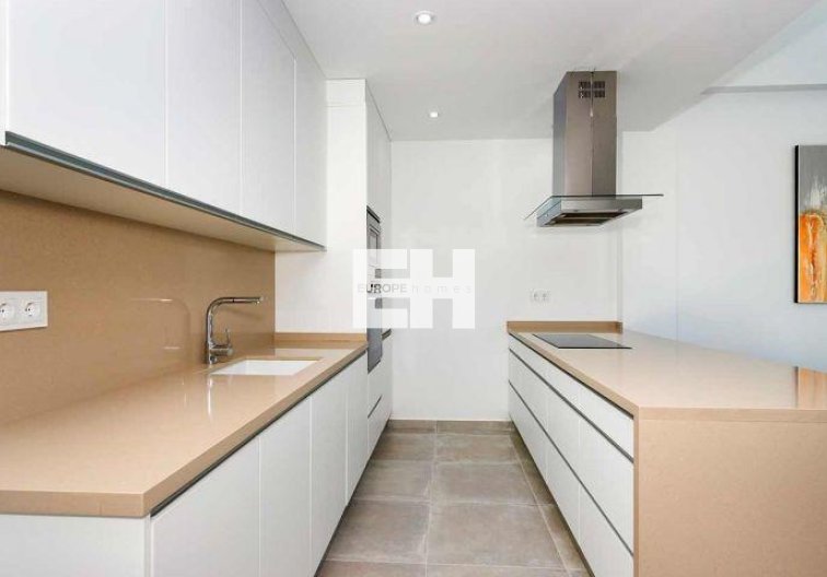 Obra Nueva - Quad - Daya Nueva - Centro