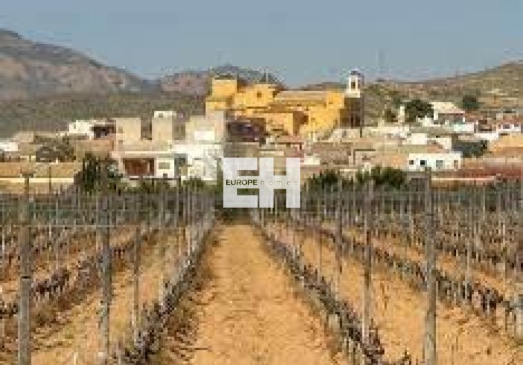 Obra Nueva - Bungalow en planta baja - Hondón de las Nieves - El Salero