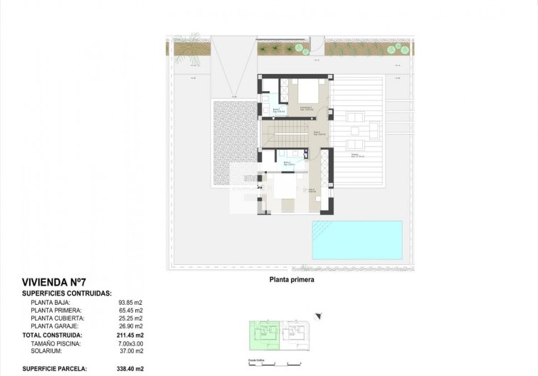 Obra Nueva - villa - Pilar de la Horadada - Las Higuericas