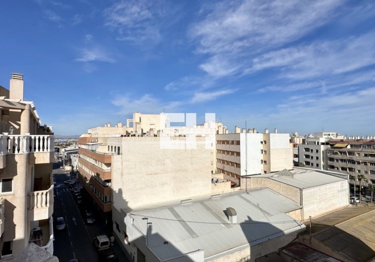 Segunda mano - Apartamento  - Torrevieja - Costa Blanca