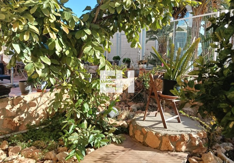 Segunda mano - Apartamento  - Los Montesinos - Costa Blanca