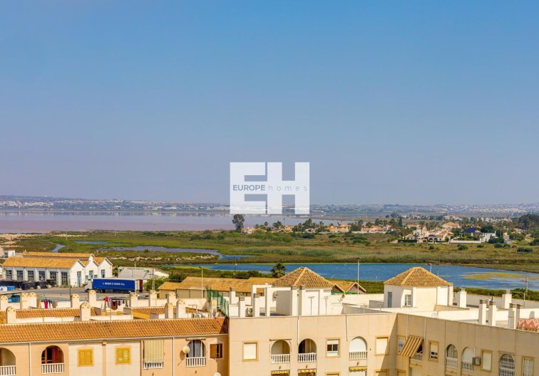 Segunda mano - Apartamento  - Torrevieja - Acequion