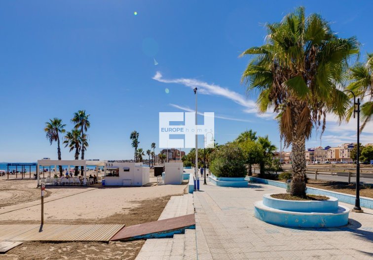 Segunda mano - Apartamento  - Torrevieja - Acequion