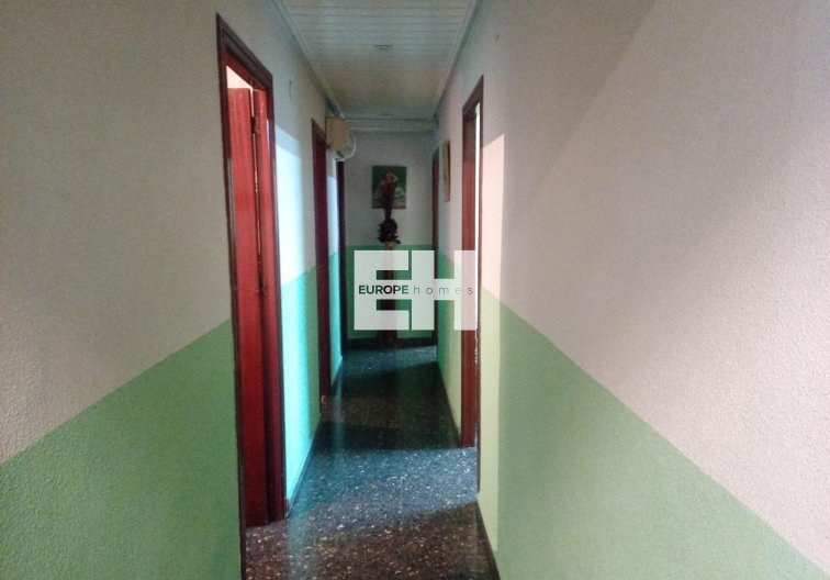 Segunda mano - Apartamento  - Orihuela - Orihuela Ciudad