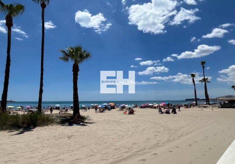 Segunda mano - Apartamento  - Torrevieja - Costa Blanca