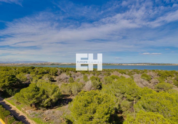 Segunda mano - Apartamento  - Torrevieja - La Siesta - El Salado - Torreta