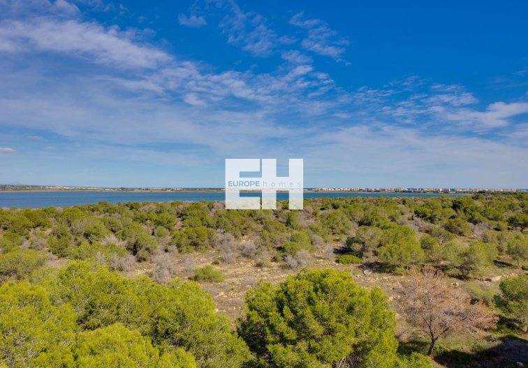 Segunda mano - Apartamento  - Torrevieja - La Siesta - El Salado - Torreta