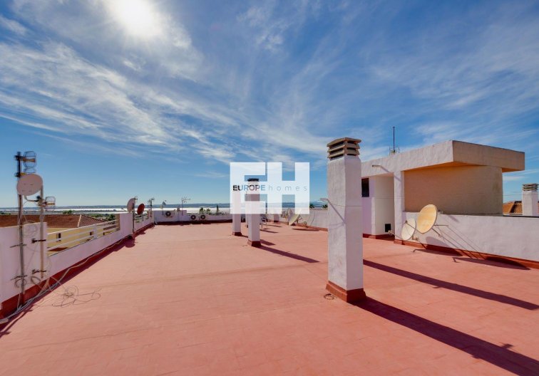 Segunda mano - Apartamento  - Torrevieja - La Siesta - El Salado - Torreta
