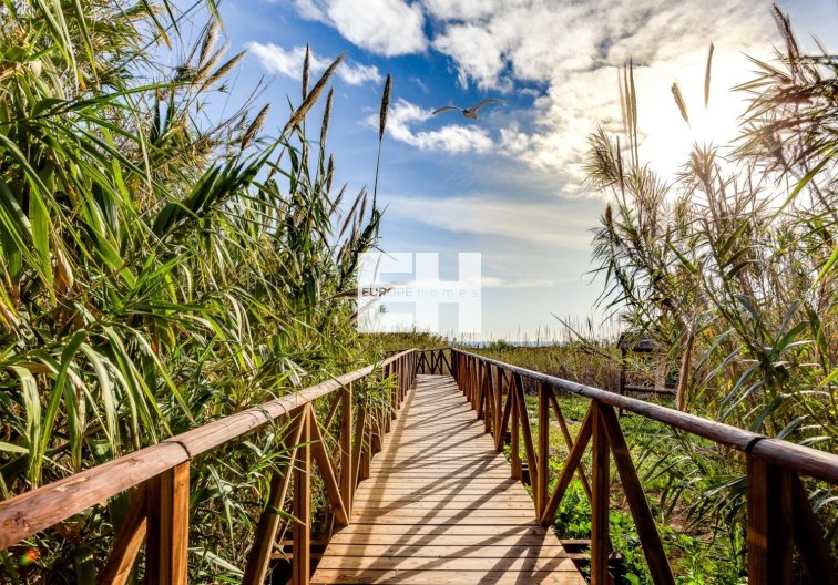 Wiederverkauf - Wohnung - Torrevieja - La Mata