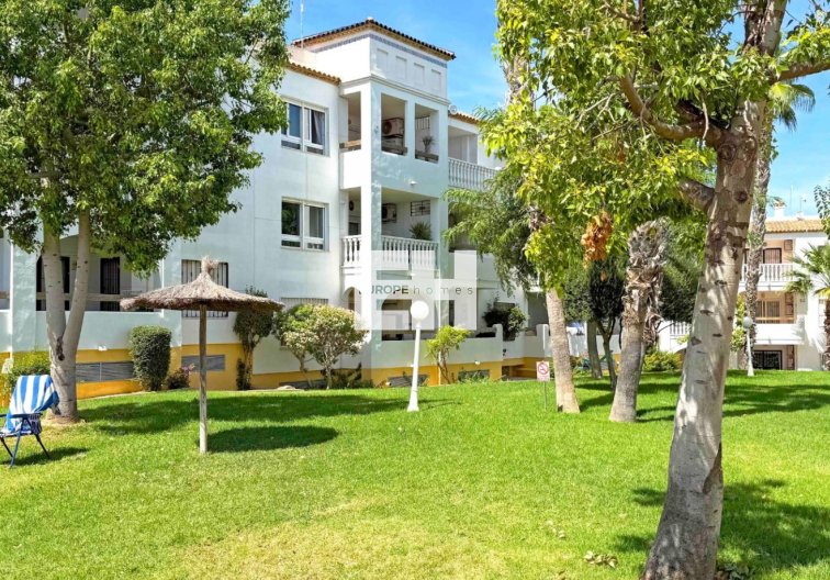 Segunda mano - Apartamento  - Orihuela Costa - Costa Blanca