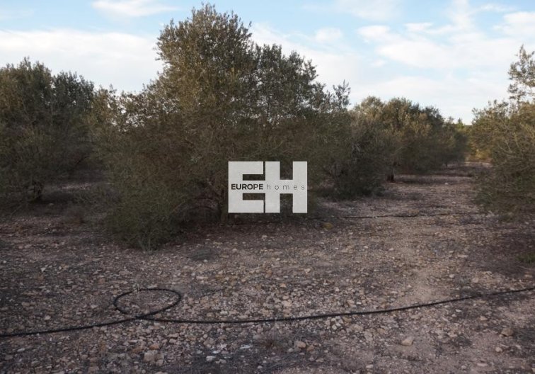 Resale - Country House - Murcia - La Tercia