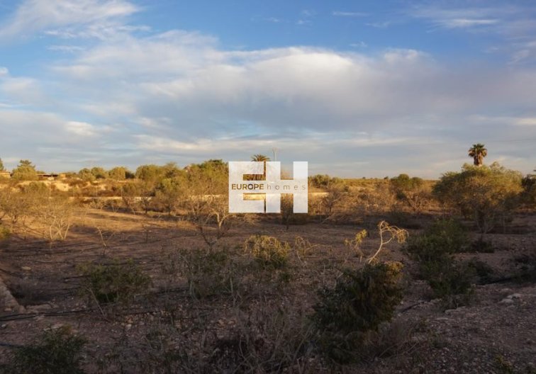 Resale - Country House - Murcia - La Tercia