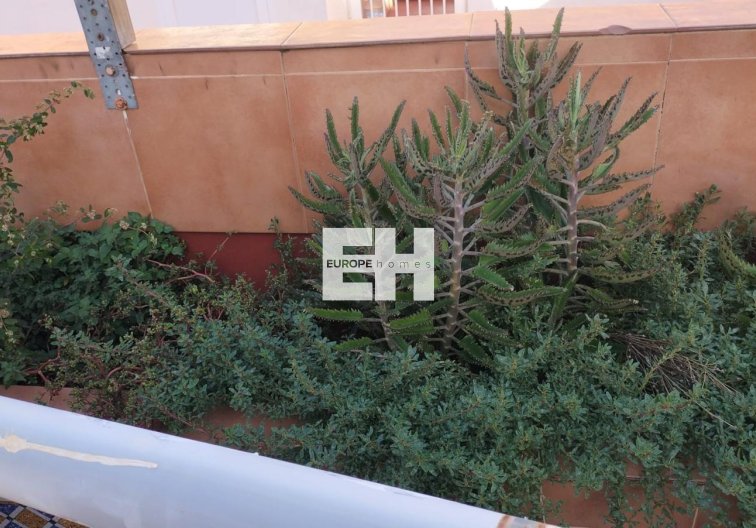 Segunda mano - Apartamento  - Torrevieja - La Mata