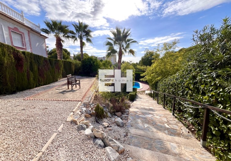 Segunda mano - Apartamento  - Playa Flamenca - Costa Blanca