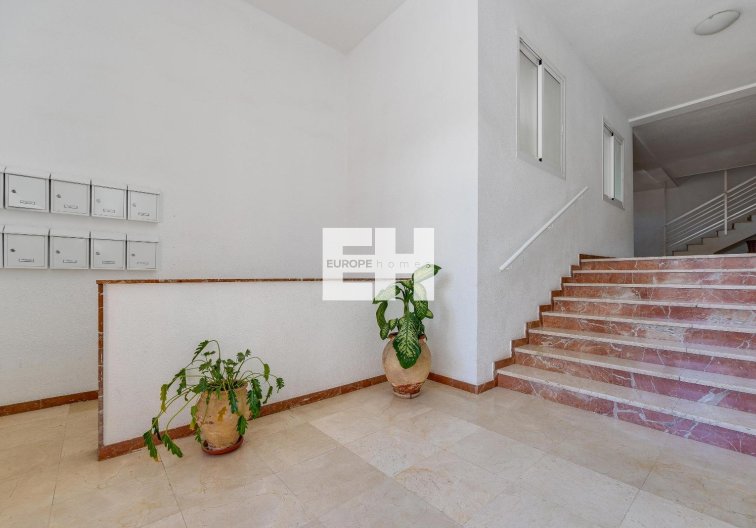 Segunda mano - Apartamento  - San Pedro del Pinatar - Av. Dr Artero Guirao