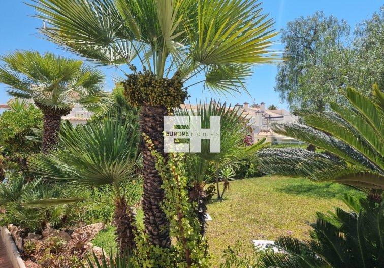 Segunda mano - Apartamento  - Torrevieja - Los Balcones - Los Altos Del Edén