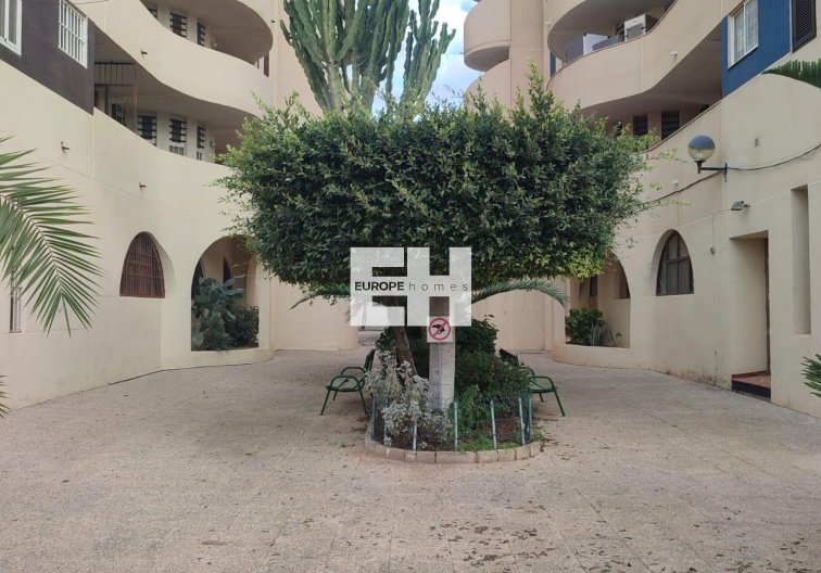 Segunda mano - Apartamento  - Torrevieja - La Veleta