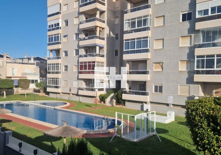 Segunda mano - town house - Torrevieja - Torreblanca