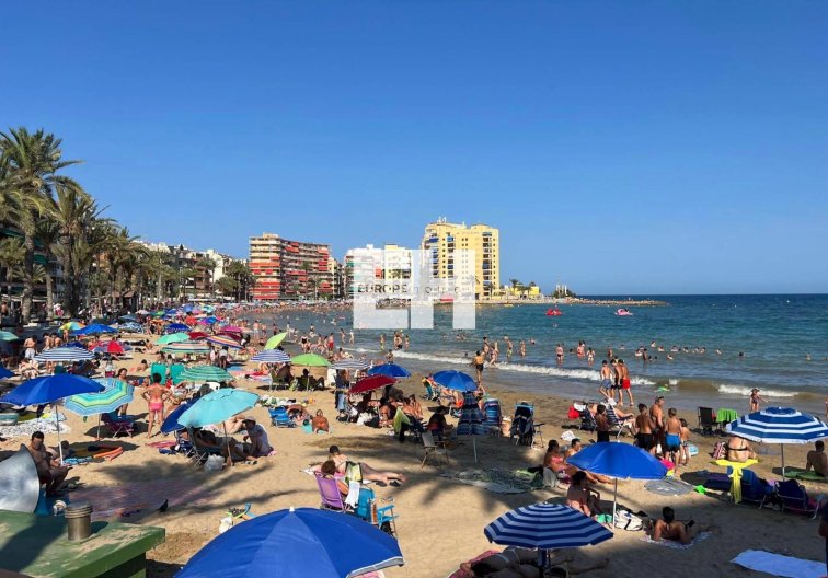 Segunda mano - Apartamento  - Torrevieja - Paseo Maritimo