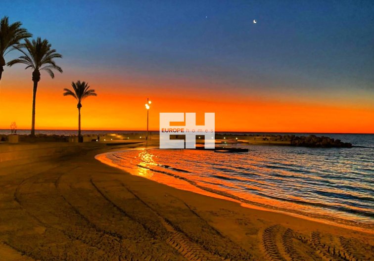 Segunda mano - Apartamento  - Torrevieja - Paseo Maritimo