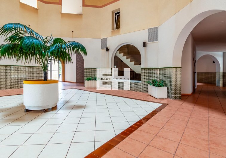 Segunda mano - Apartamento  - Torrevieja - Playa de los Locos