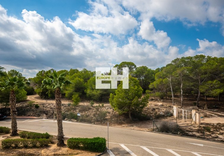 Wiederverkauf - Wohnung - Algorfa - Inland