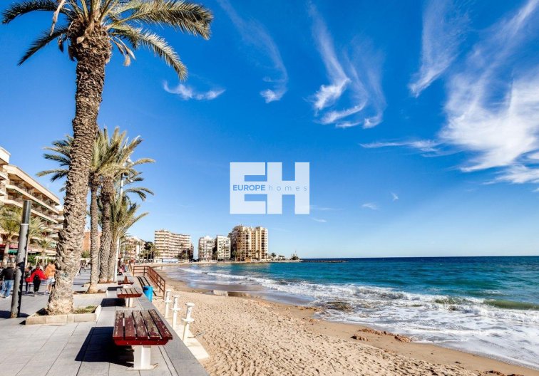 Segunda mano - Apartamento  - Torrevieja - Playa del Cura