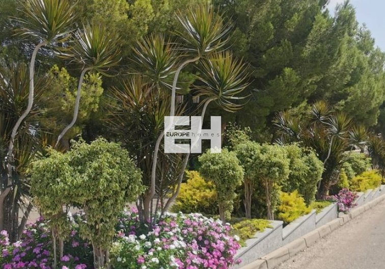 Segunda mano - Apartamento  - Orihuela Costa - Costa Blanca