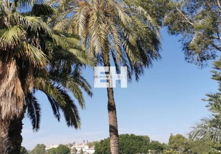 Segunda mano - Apartamento  - Orihuela Costa - Costa Blanca