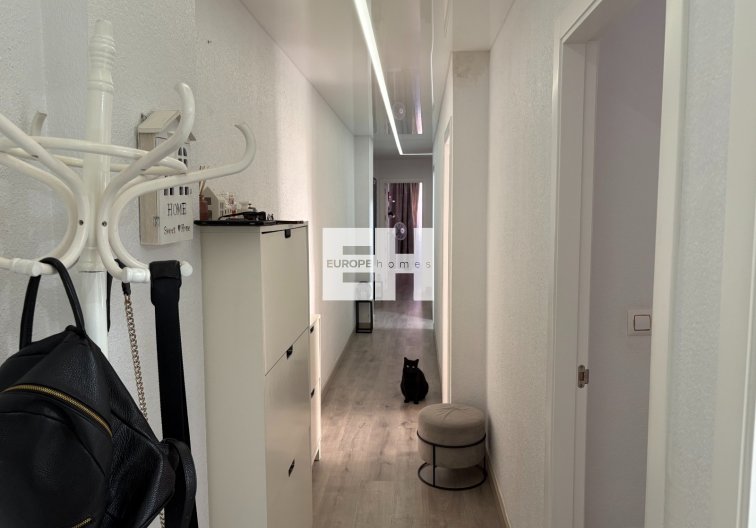 Segunda mano - Apartamento  - Torrevieja - Costa Blanca