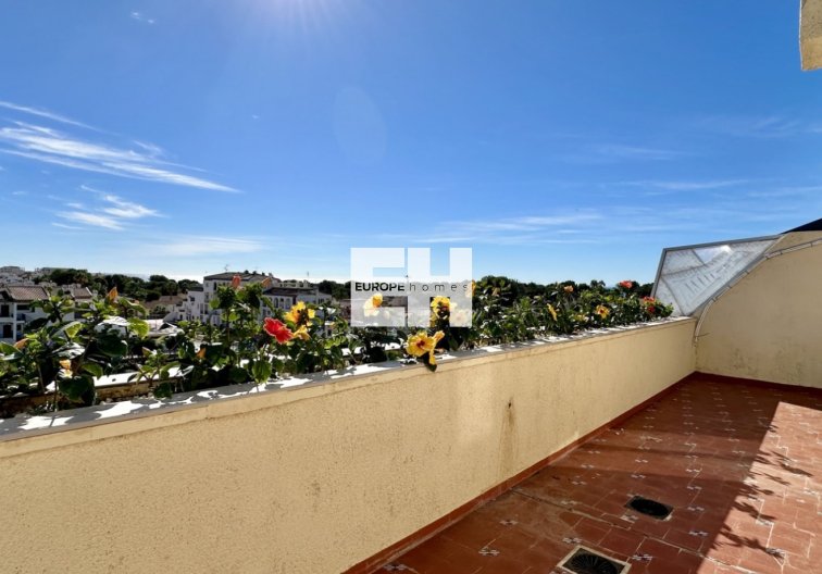 Segunda mano - Apartamento  - Orihuela Costa - Costa Blanca