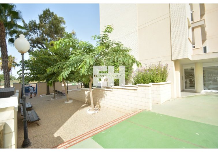 Segunda mano - Apartamento  - Guardamar del Segura - Costa Blanca