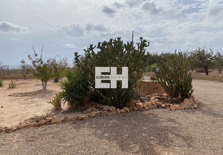 Revente - town house - Fuente Álamo - Inland